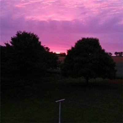 best365官网手机版手机app下载